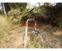 5 Acres Areca Farm Land for sale at Kyasapura - Chitradurga