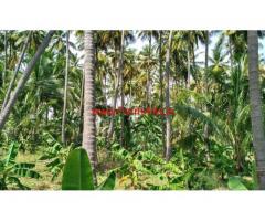 2.5 Acre Coconut Farm for sale at Ayyamalayam - Vathalakundu