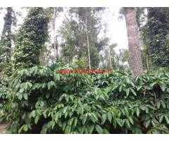 13.23 Acres Coffee Estate for saleat Chikmagalur