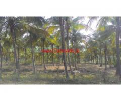 4 Acre Coconut Farm for sale near Bellur Cross, Nagamangala