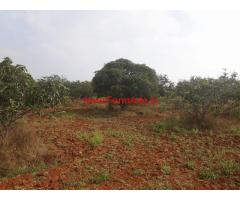 3 acres mango garden for sale kolar to srinivaspura rd, near Holuru village