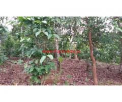 2 acre Agriculture Land for sale at Mananthavady - Thalasseri road