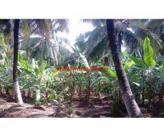 3.7 Acres Farm Estate for sale in Palakkad. near Chittur