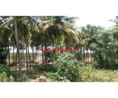 1 Acre Coconut Farm for sale at KRS road Bellagolla