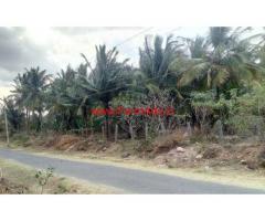 8 Acre Coconut farm for sale near kinathukadavu - Coimbatore