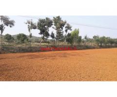7 Acres farm land for sale at Denkenikottai (Tamil nadu)