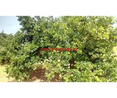 6 acres Farm Land with Farm House for sale at Choutuppal