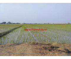 23 acre agricultural (paddy) land sale near Gangavathi.