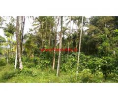 1 Acre 87 Cent Land in Wayanad.  8 Km from kalpetta town