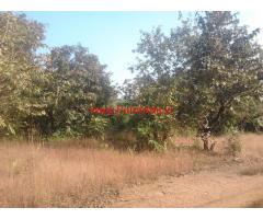 51 Gunta agricultural land for sale in halga village - Khanapura