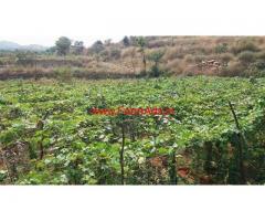 5.20 Acres Farm land for sale at Dharmapuri - TN