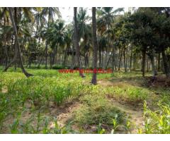2.19 Acres Farm land for sale, 8 KMS from Sathnur Circle