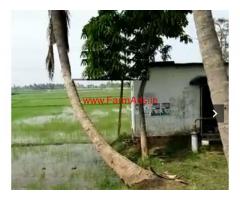 6 Acres East facing agricultural land for sale Peddapuram , Veeravaram