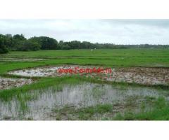 24 Acers Single bit agricultural land available for sale at S.Kota
