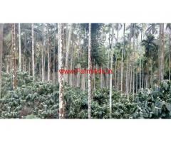 9 Acres Coffee Land with 2000 Sqft House for sale at Wayanad.