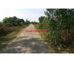 2.8 Acres of Agricultural Farm land in Denkanikottai to Salivaram Road