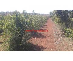 20 Acres Pomegranate Farm land for sale at Chitoor, KV Palli Mandal