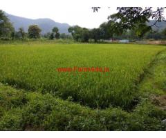 24 Gunta paddy field for sale near Karjat - Raigad