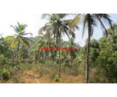 15.20 Acres Coconut Plantation for sale on Kumta - Sirsi Road