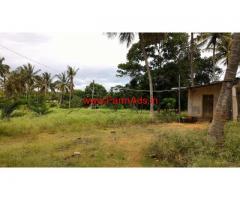 19.5 Acres Coconut Farm for sale at Nanjangud