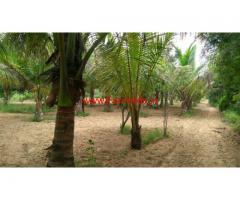 8.5 Acres Mango Farm Land for sale at Chittoor in Andhra