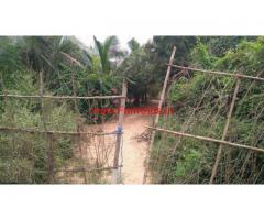 8.5 Acres Mango Farm Land for sale at Chittoor in Andhra