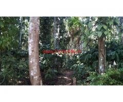 1.5 acre coffee estate for sale in kalasa with a small house