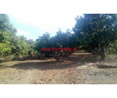 1.20 Mango Farm for sale at Chittur - Palakkad