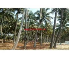 2 acre coconut farm sale in senjeriputhur, Coimbatore