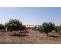 20 acre Mango groove is available for sale in Nimmanapalli - Chitoor