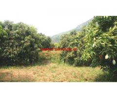 20 Acre farm land for sale in near vathalakundu, dindigul