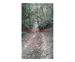 30 Acre Semi maintained coffee estate for sale close to Virajpete
