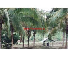 9.25 acre agricultural land sale in Kundadam , Dharapuram -Tiruppur