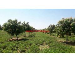 7.5 Acres Mango Farm for sale in Chitoor - Andhra