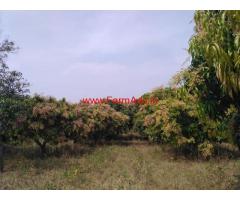 10 acre agricultural land mango farm for sale at Ramanagar