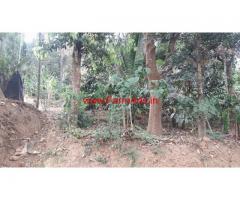 47 Cents land with a small house for sale at Panamaram, Wayanad