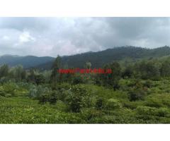 10 Acre Agricultural land for sale in Kotagiri, Ooty
