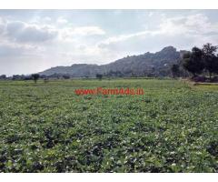 10 Acres Agriculture land for sale at Kanakkankuppam village Gingee