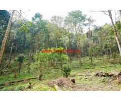 20 acre Coffee Estate land for  sale in madikeri, Near bagmadala