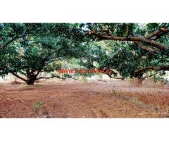 2.10 Acres Mango Farm for sale at Channapatna, close to Highway