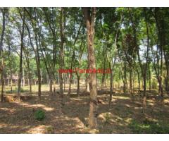 4 acres Rubber Estate for sale at Marika, Vazhithala