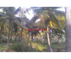 4 Acres Coconut Farm for sale near Bellur Cross - Nagamangala