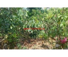 2.50 Acres Agriculture Land for sale at Mananthavady