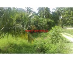 8 Acre Farmland for sale in Chittur, Palakkad