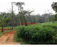 1 acre 84 cent cow farm for sale at muvattupuzha - Kothamangalam
