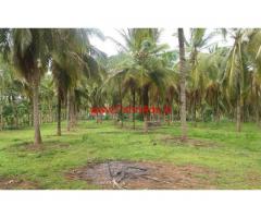 10 Acres Tar Road Facing Coconut Farm for sale at Chittur - palakkad