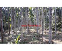 5 Acres Agriculture Land for sale, 20 KM from Kukke Subramanya