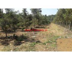 1.25 Acres of newly planted coffee estate for sale at Belur