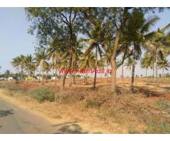 12.5 acres pure red soil farm land available for sale at Lepakshi