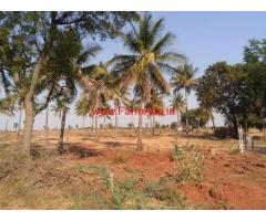 12.5 acres pure red soil farm land available for sale at Lepakshi